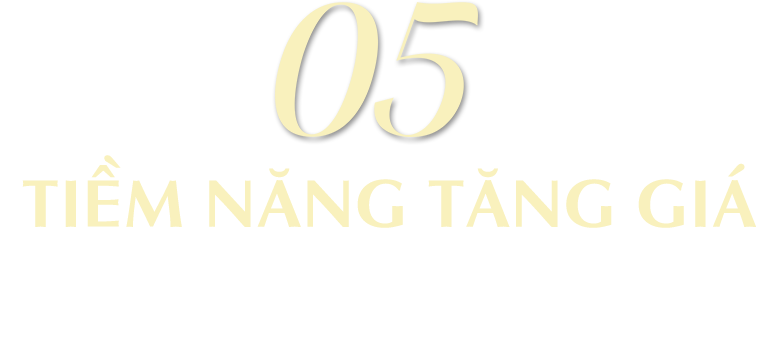 05 Tiềm năng tăng giá